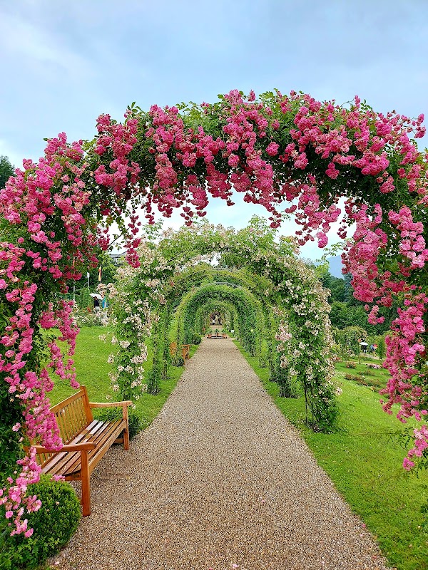 Rose Society Garden (New Rose Garden) 1