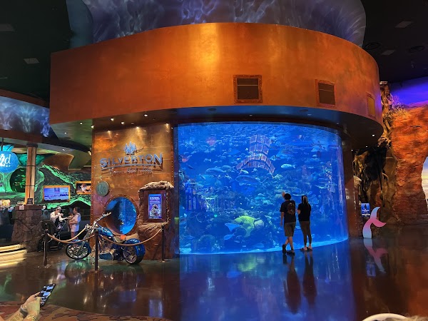 The Aquarium at Silverton Casino 1
