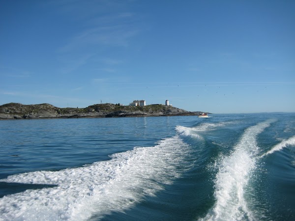Ryvarden
