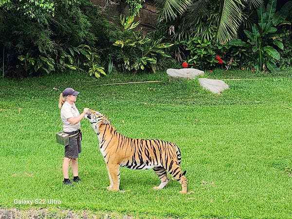 Dreamworld 2