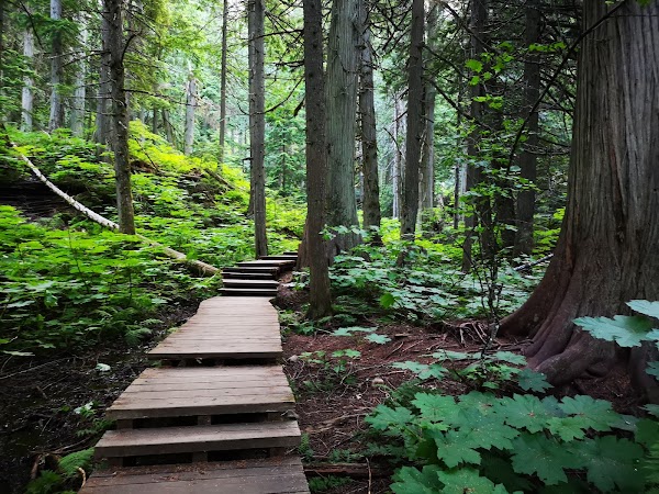Canada Travel 43
