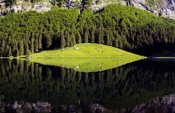 Seealpsee 3