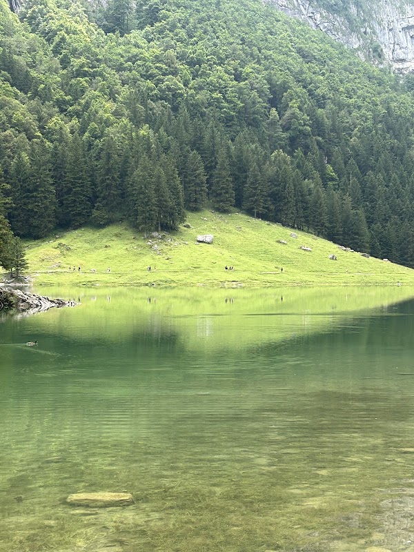 Seealpsee 2