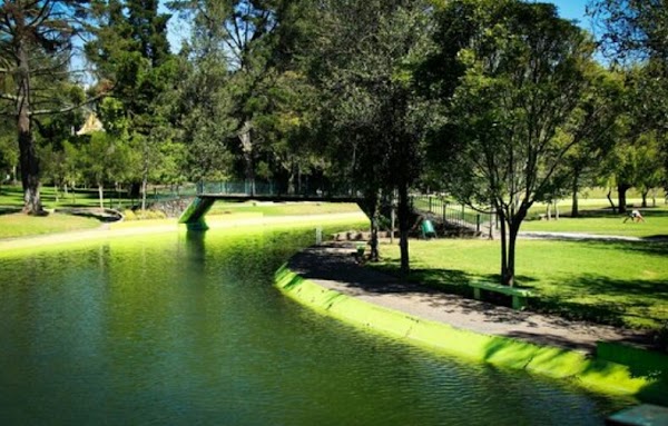 Parque La Carolina 5