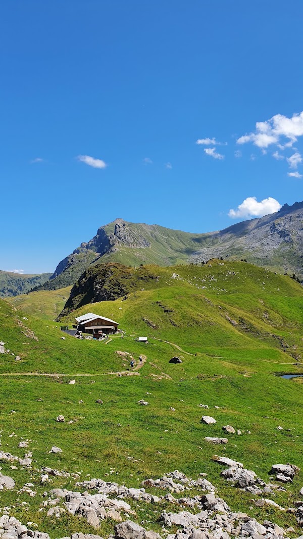 Alp Oberfeld 5