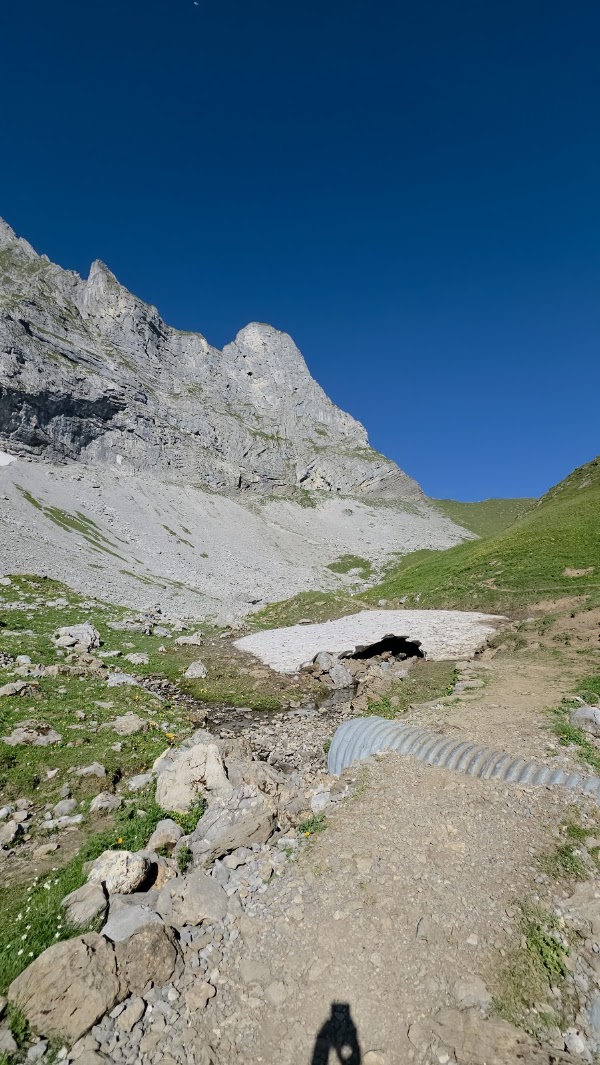 Alp Oberfeld 4