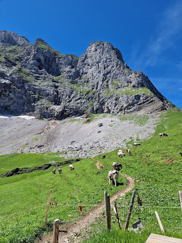 Alp Oberfeld 2