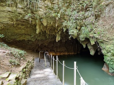Waitomo Glowworm Caves 2