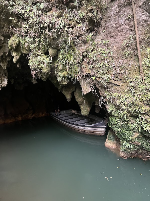 Waitomo Glowworm Caves 1