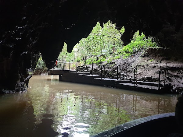 Waitomo Glowworm Caves 6
