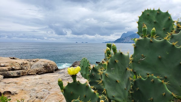 Pedra do Arpoador 3