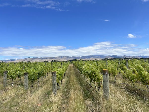 The Original Marlborough Wine Tours 1