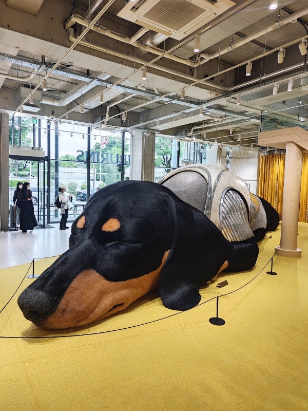 TAMBURINS Daikanyama Flagship Store 4