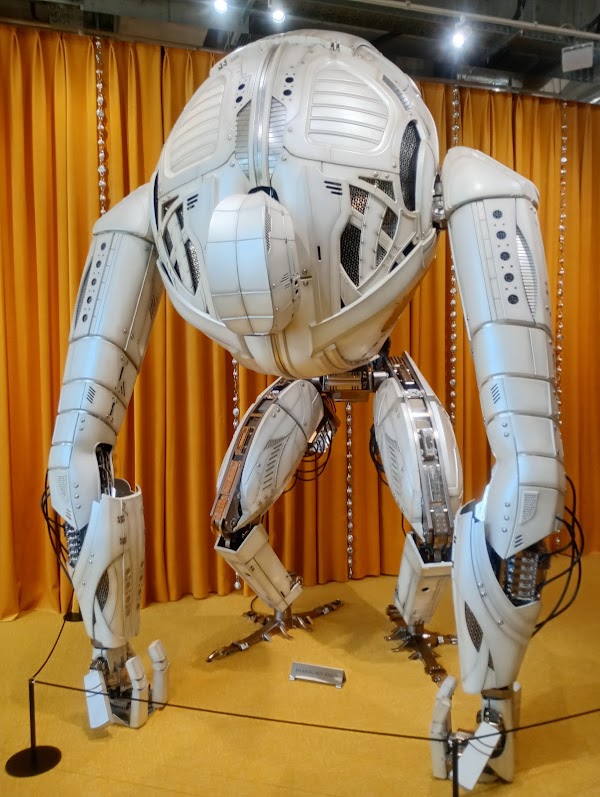 TAMBURINS Daikanyama Flagship Store 3