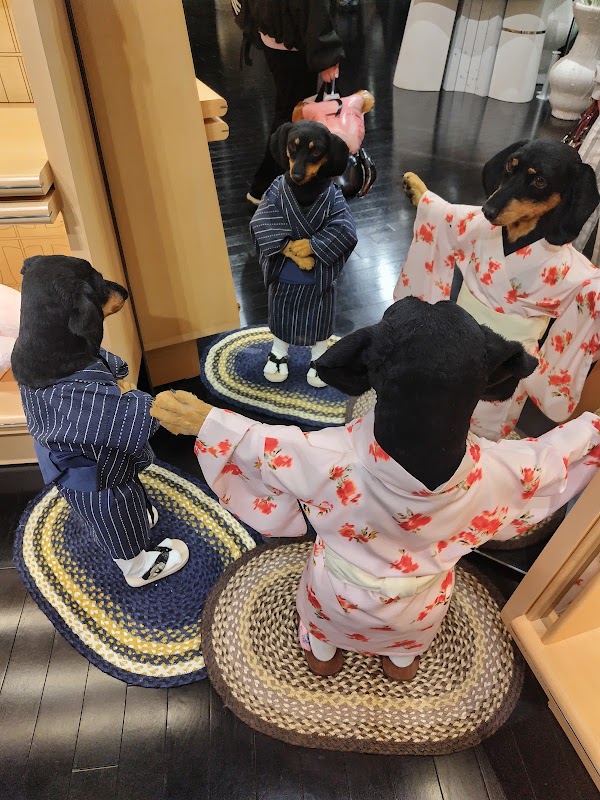 TAMBURINS Daikanyama Flagship Store 2