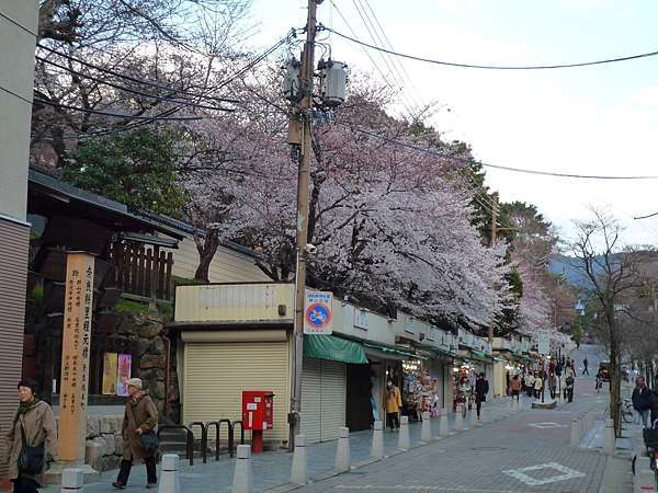 Nara Sanjo-dori Shopping Street 2
