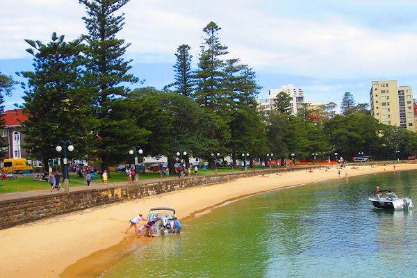 Manly 5