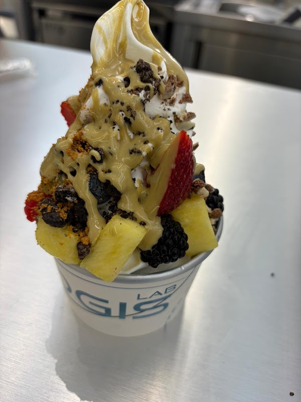 YOGIS LAB Yogurt 4