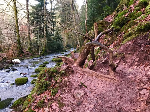 Im Monbachtal 5
