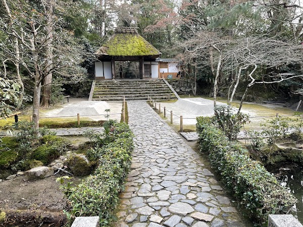 Kansai Insider: Secret Temples & Markets👺🎌 24
