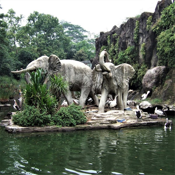 Ragunan Zoo 5