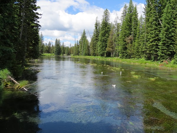 Big Springs