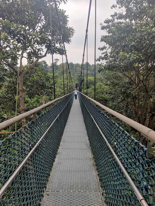 Macritchie Treetop Walk Trailhead 1