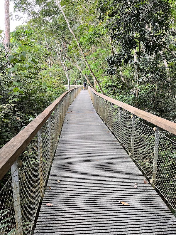 Macritchie Treetop Walk Trailhead 4