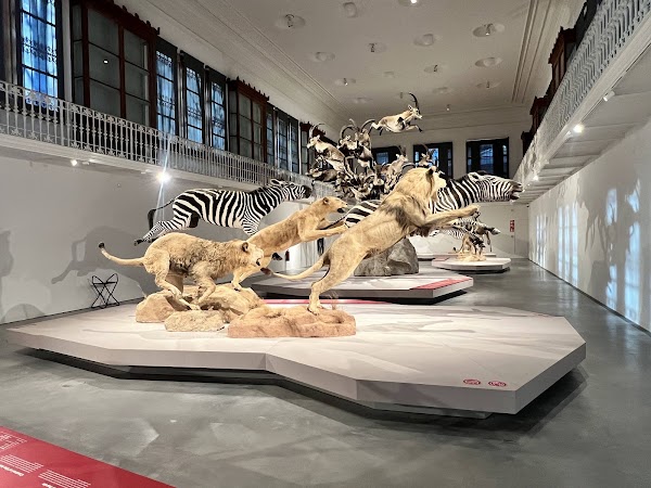Museu Centre Martorell d'Exposicions 3