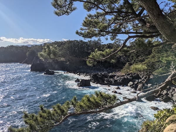 Izu Oceanic Park 2