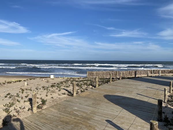 The Fingers of Punta del Este 4