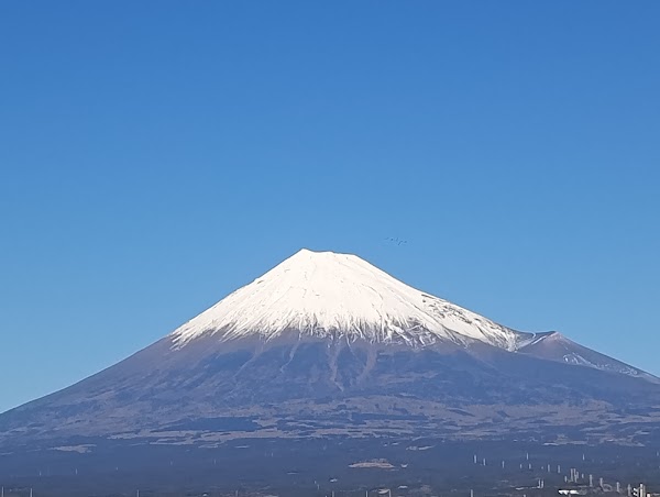 Fujisan Yume No Ōhashi Bridge 1