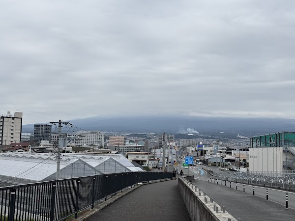 Fujisan Yume No Ōhashi Bridge 3