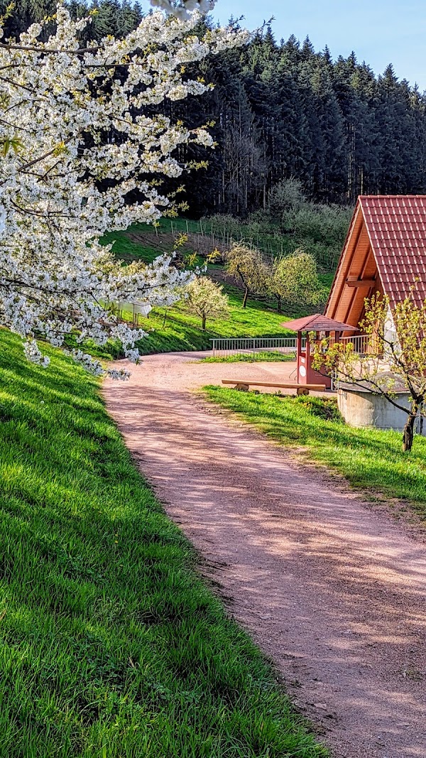 Wanderparkplatz Brennersteig 2