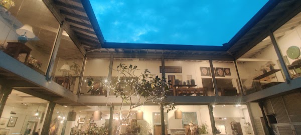 The Design Collective Store