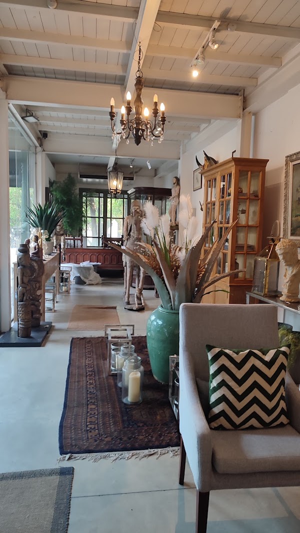 The Design Collective Store 5