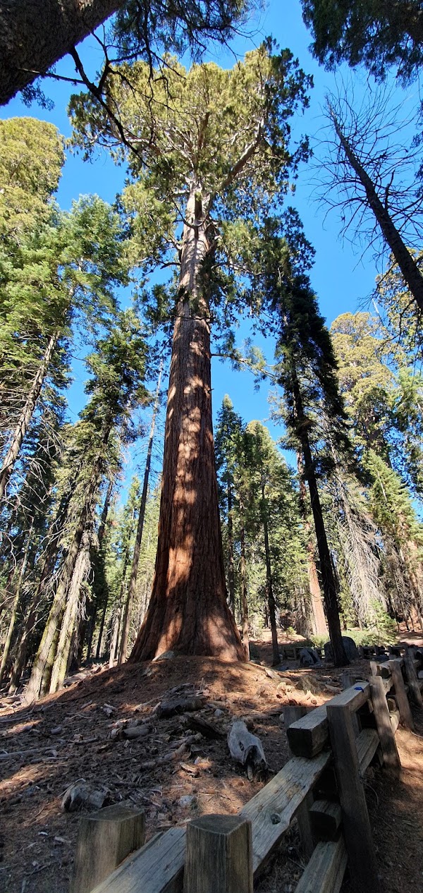 Sequoia National Park Toll, Ash Mountain Entrance