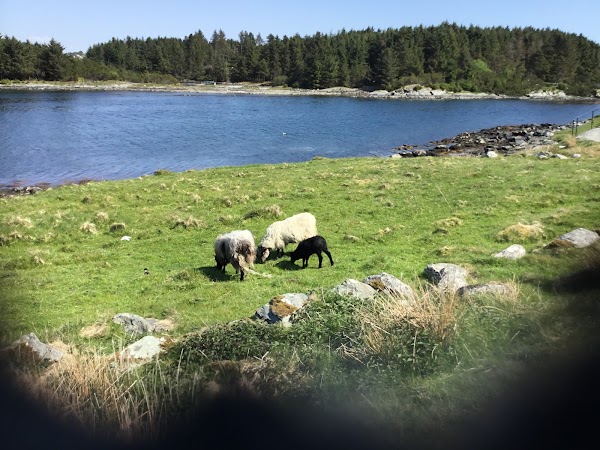 Avaldsnes