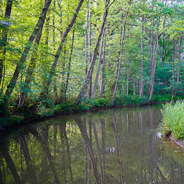 Möllegårds naturreservat