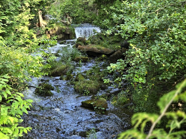 Ontario 55