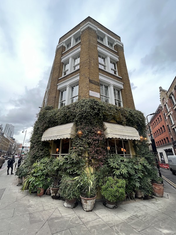 Shoreditch Treehouse 4