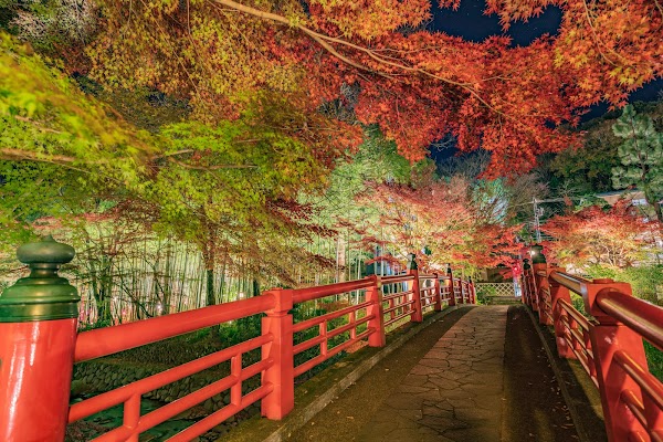 Bamboo Forest Path 4