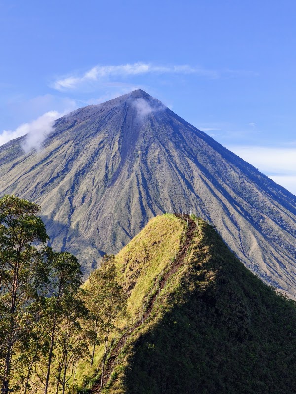 Indonesia 8