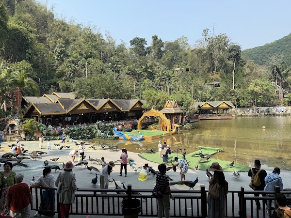Xishuangbanna Primitive Forest Park