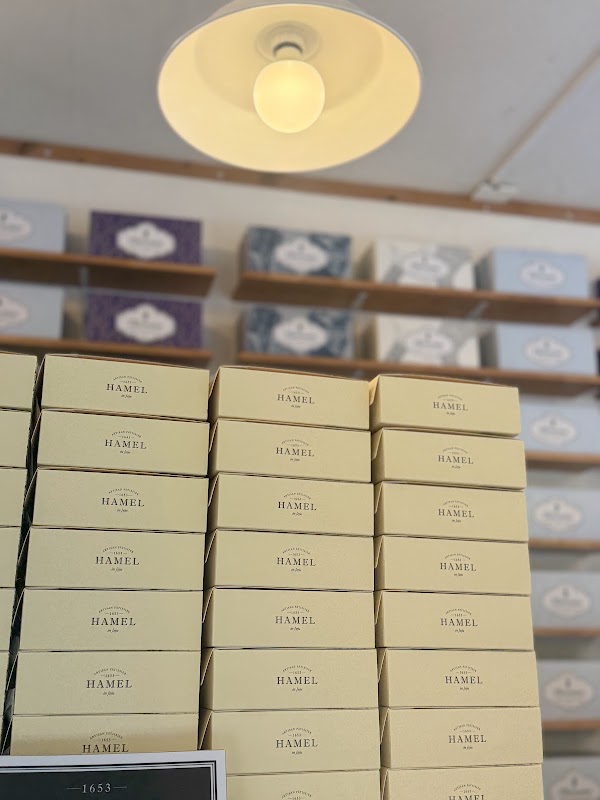 Jeju Hamel cheese cake 2
