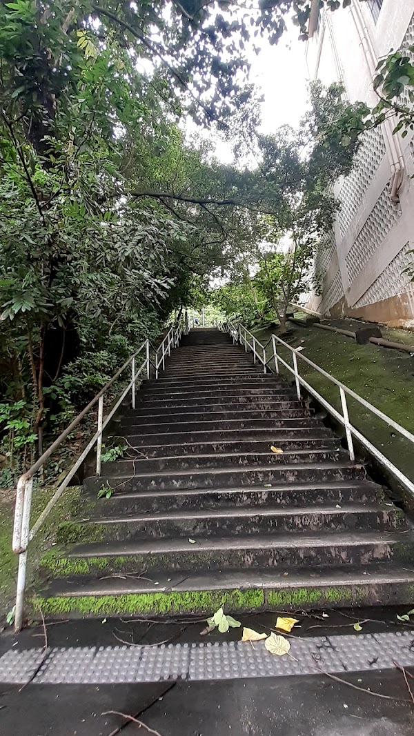 Tin Hau Temple Road 5