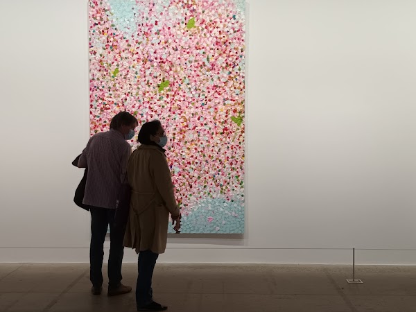 Cartier Foundation for Contemporary Art 5