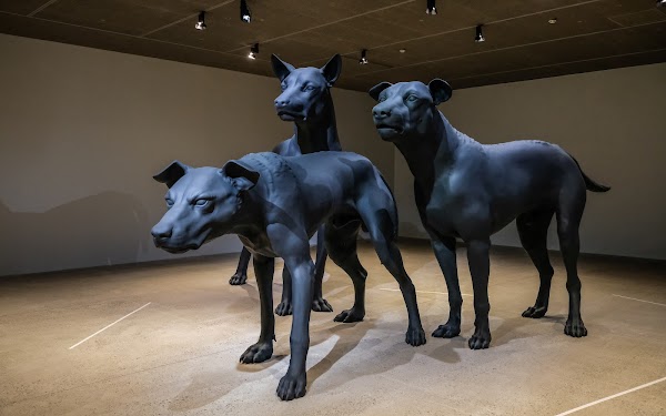Cartier Foundation for Contemporary Art 4