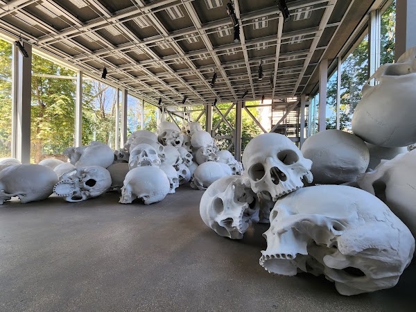 Cartier Foundation for Contemporary Art 3