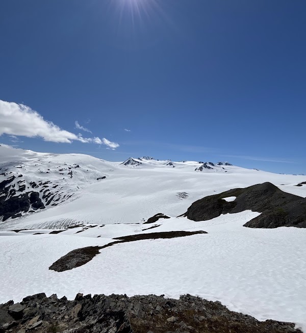 Harding Icefield Trail 5